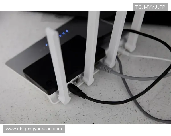 亚博体育官网真人游戏：严格的安全措施保障玩家个人信息安全