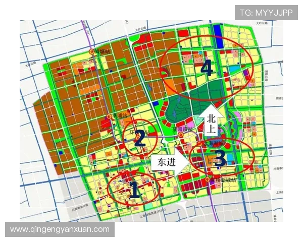 亚星娱乐官方最新动态全面解析，带你了解公司最新发展和未来规划