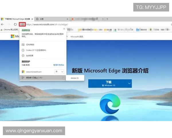 亚星娱乐现金开户安全指南保障您的资金安全与隐私