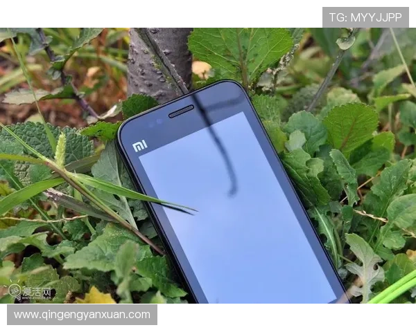 亚星官方网站登录入口多设备登录指南，支持手机、电脑多平台无缝切换体验