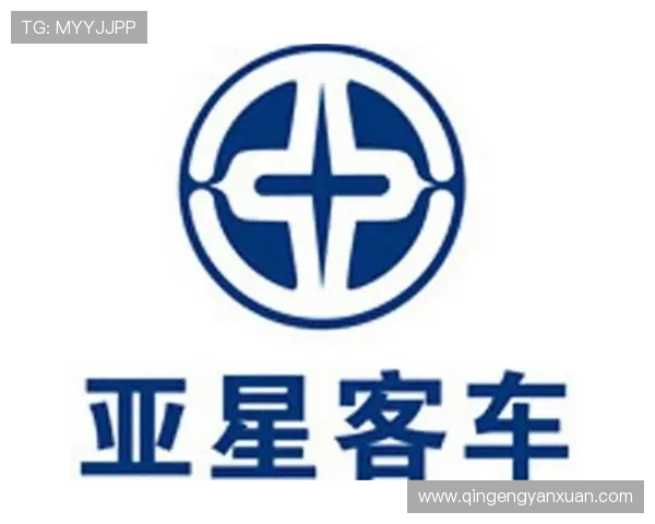 亚星客车的市场营销策略与品牌影响力提升路径探讨