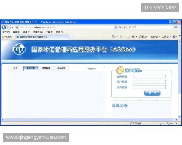 亚星管理平台官网:全面了解企业管理解决方案与服务介绍