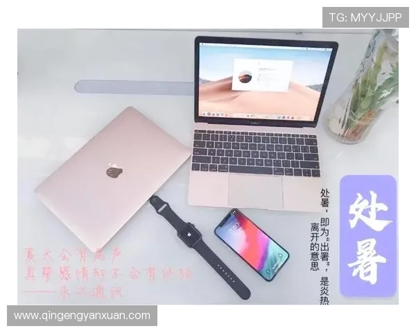 亚星游戏手机版登录入口常见问题及安全登录技巧全面指南