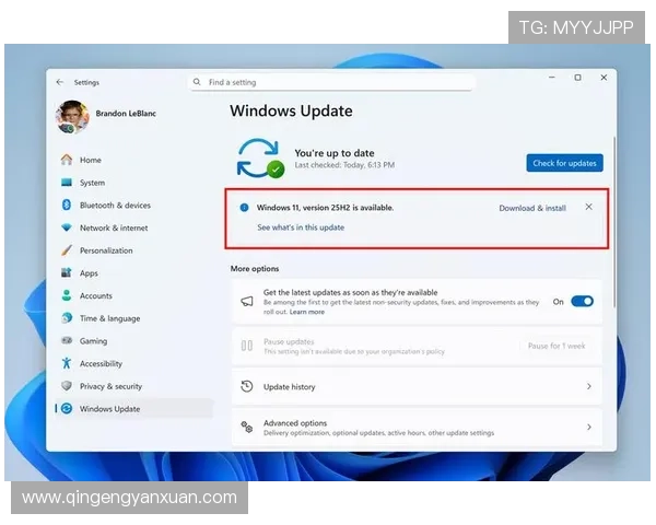 亚星管理官网222：平台维护与升级通知，确保用户及时掌握最新功能与安全补丁